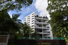 Jade Mansion (D10), Condominium #48082